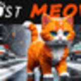 Lost Meow