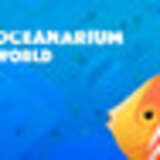 Oceanarium World